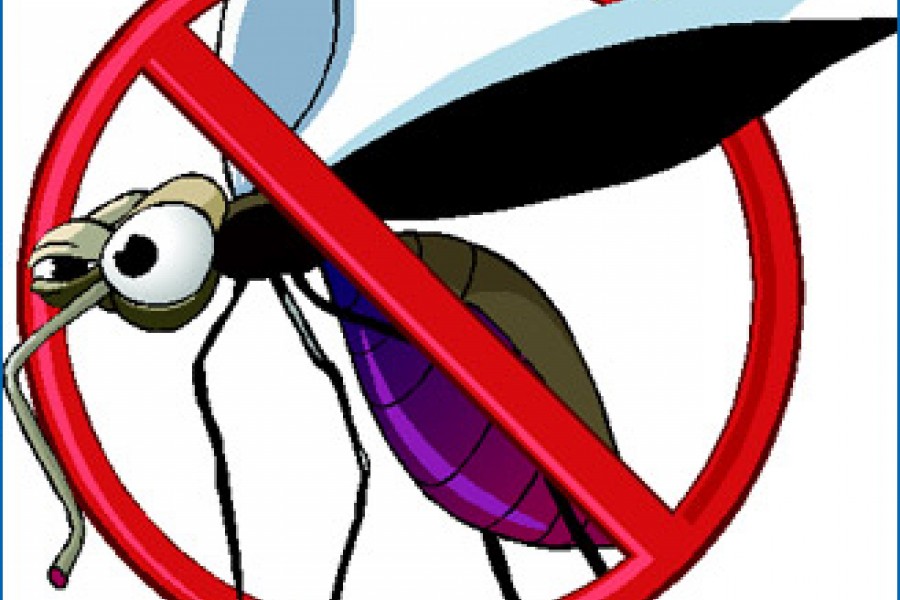 Prevenir las picaduras de mosquitos en tus hijos